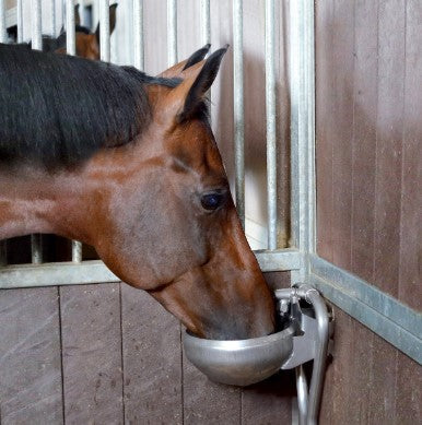 Ryðfrí Brynningarskál f. hesta og nautgripi