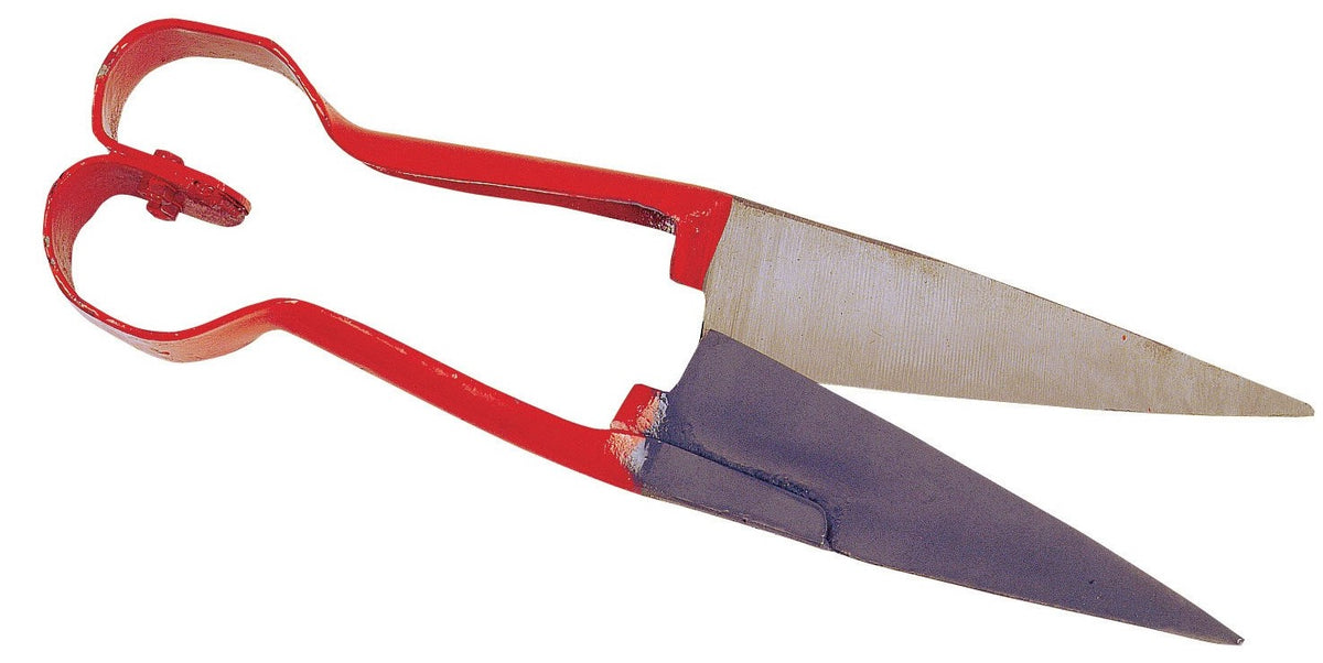 Rúningsklippur 16cm